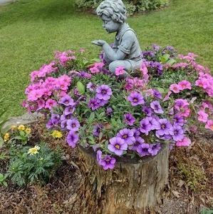 Meet your Posher, Brenda